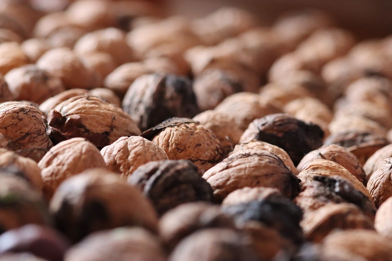 通用流量是什么- 高速流量卡代理平台有哪些