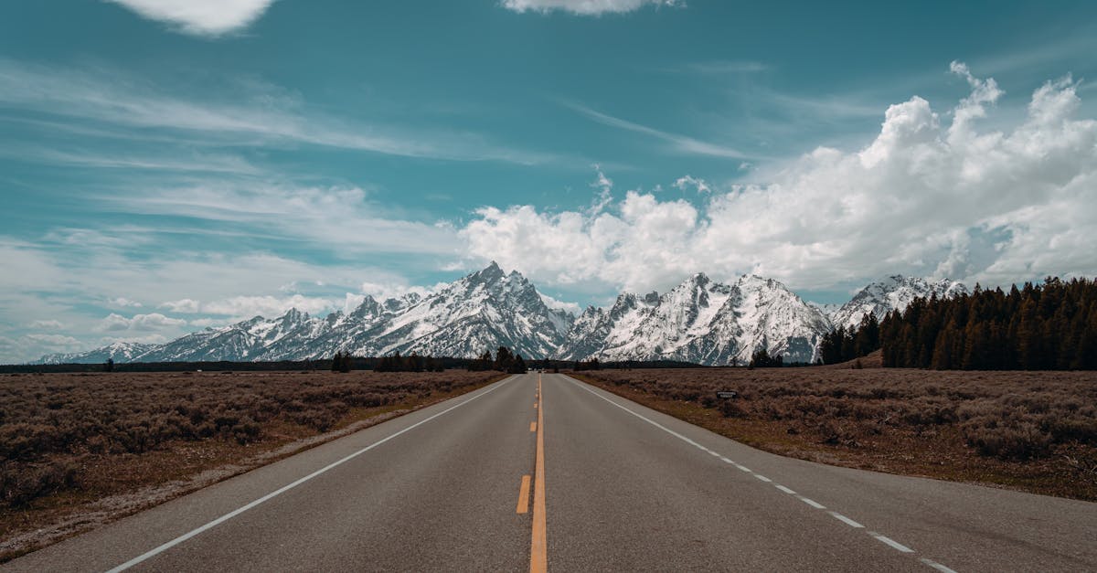 技术支持辅助的使用是否会导致游戏公司收益下降？