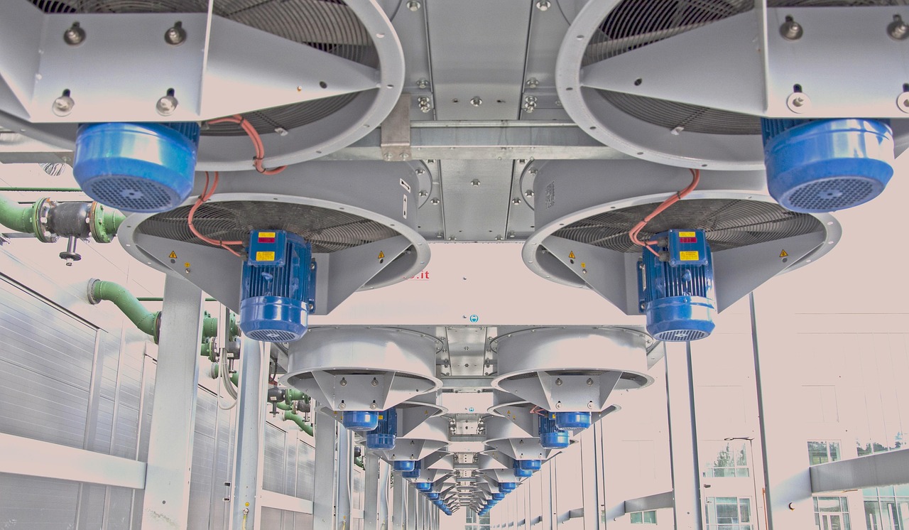 斗罗大陆：武魂觉醒辅助- 抖币平台代理