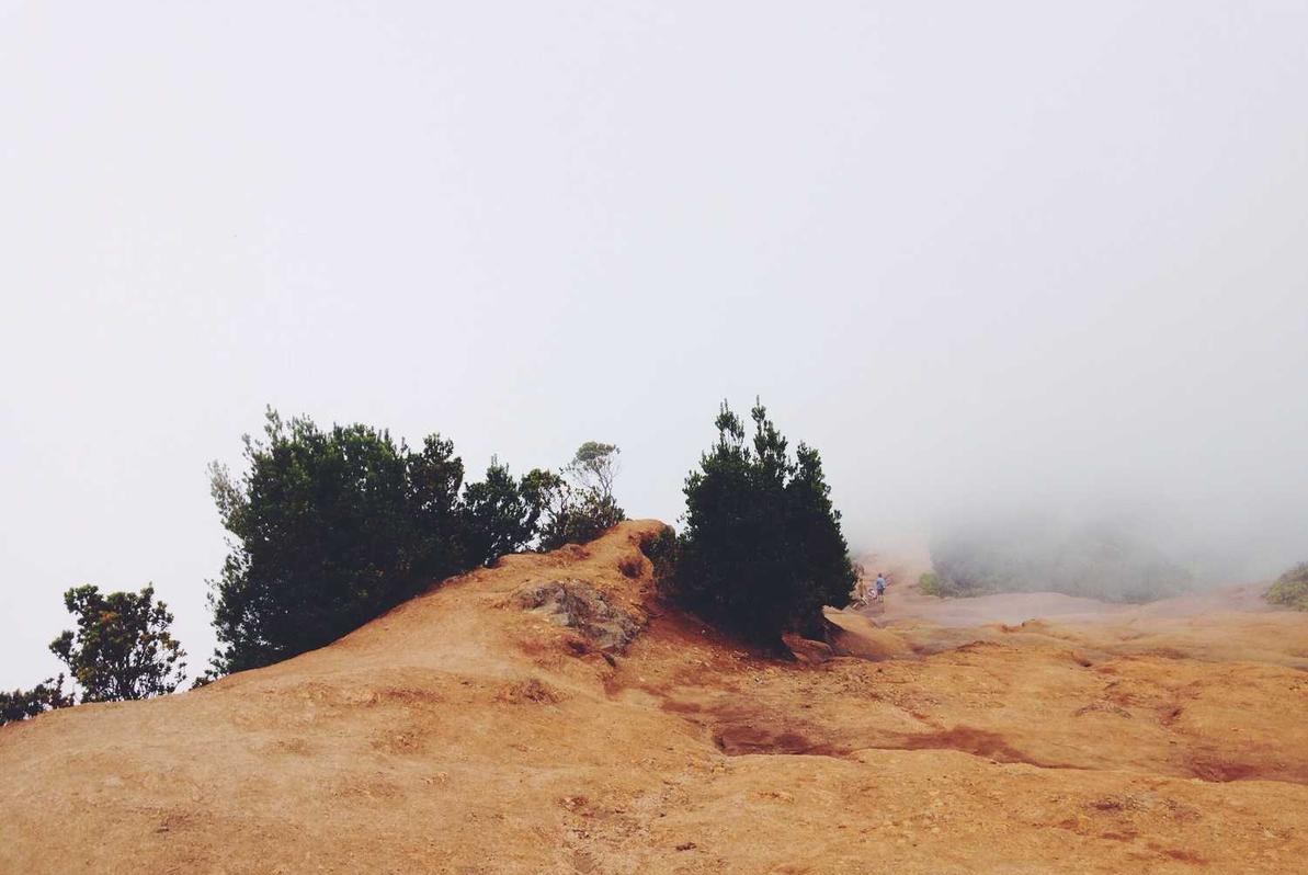 红梅花王：东阳财税注册代理